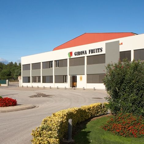 GIRONA FRUITS SCCL