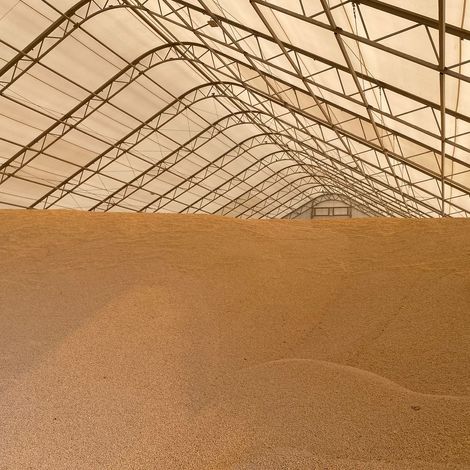 Soybean warehouse