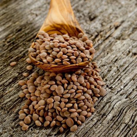 brown_lentils_mlf.jpg