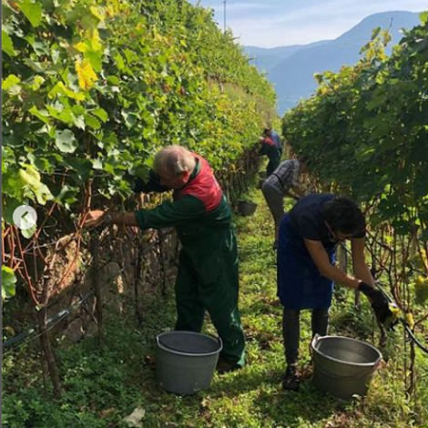 Nalserbacherkeller - People