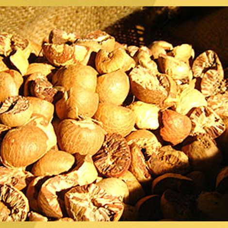banner03.jpg