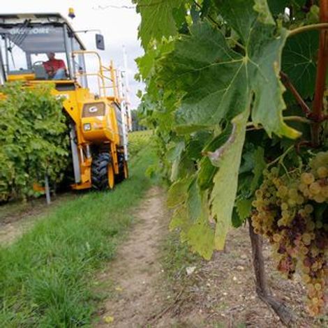 Harvest