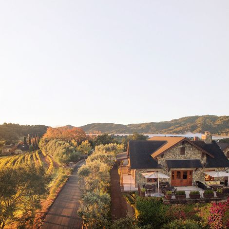 Cardinale_Wine_Vineyards