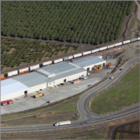 DANAMARK WALNUT - Factory