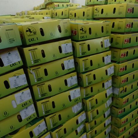 WhatsApp Image 2020-05-15 at 19.30.15 (1).jpeg