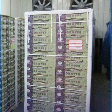 Cold Storage