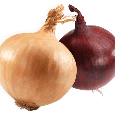 roodgeel-kopie-uai-720x619.png