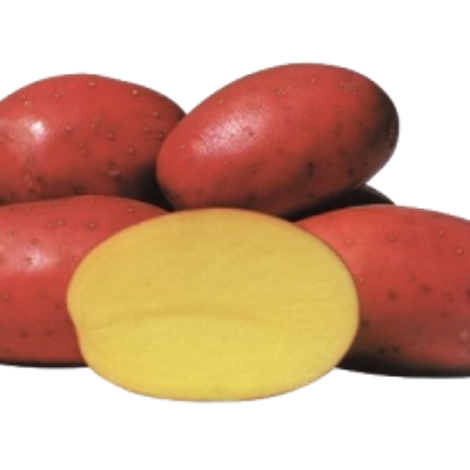 papas-transparentes-300x210.png