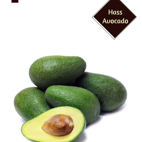 hass avocado.png