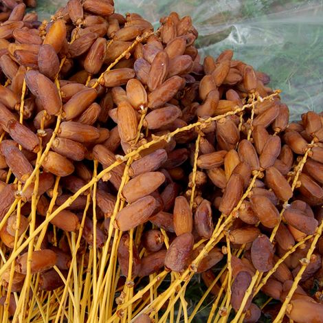 Attaoufik des Dattes