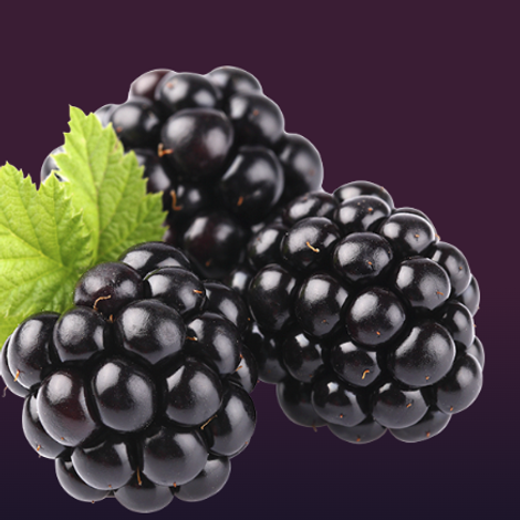 Blackberry