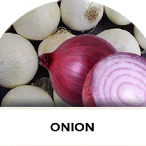 Farm Fresh Exports