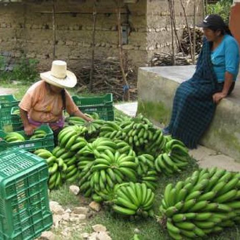 Agroandino S.R.L.