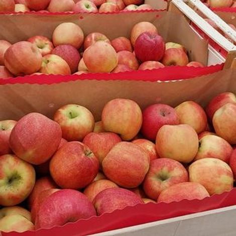 Centro frutta castiglione