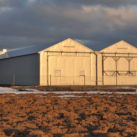 Uprawa Pieczarek - Pawelec Zdzisław - Production Facility