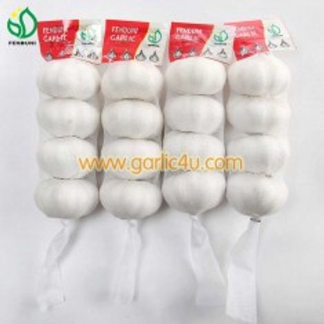 Jining Fenduni Foodstuff Co., Ltd.