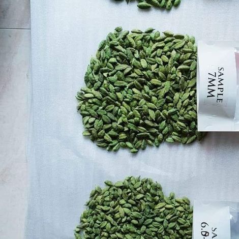 Green Cardamom size samples