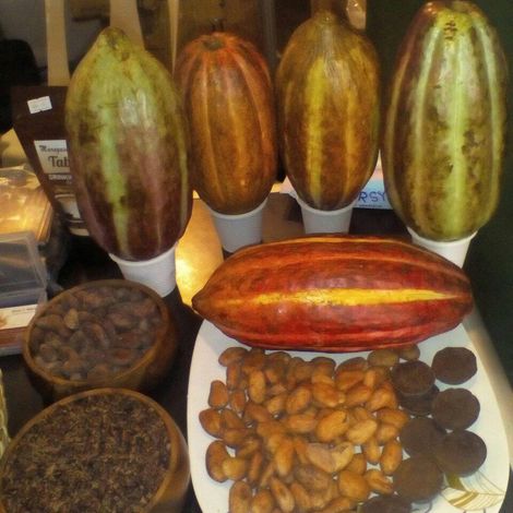 Comval Tropical Harvest Company, Inc.