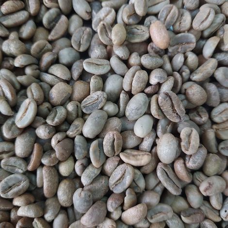 MustmerCoffeeExporter_RawCommonCoffeeBeanEthiopia_LekemptiG4&G5