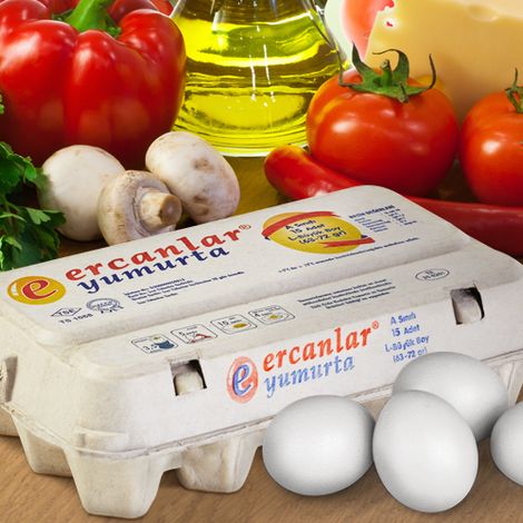 Ercanlar Yumurta Yarka Yem Gida insaat Nakliyat Sanayi Ve Ticaret A S