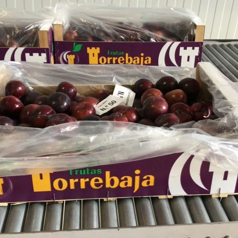 Torrebaja Fruits