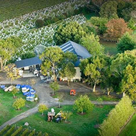 Vineyards and Winery