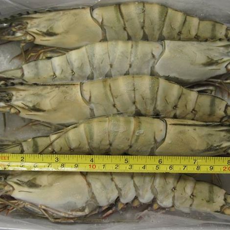 Black Tiger shrimp 6pcs/500 g