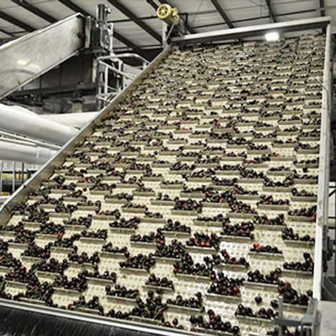 Underwood Fruit and Warehouse - Facility