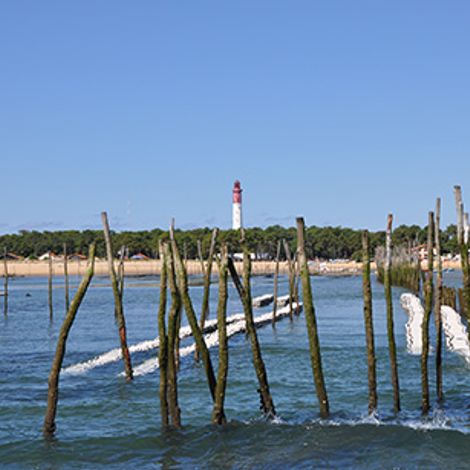 huitres_cap_ferret_7.jpg