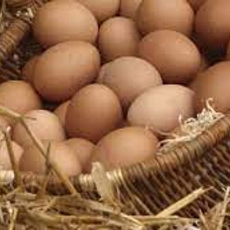 Kiepersol Eggs - Egss