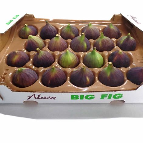 Alara Tarim Urunleri Sanayi Ve Ticaret A S