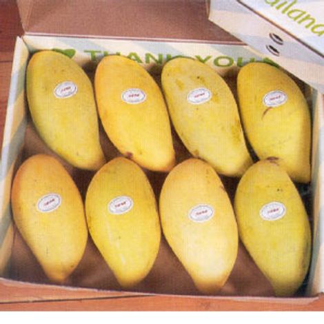 Naqshbandi Enterprises - Packed Product