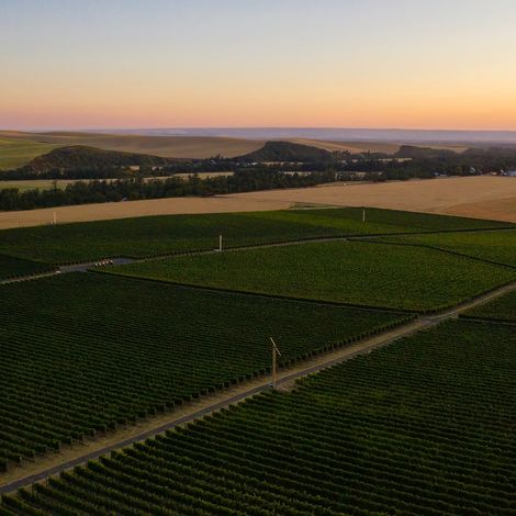 Dunham Cellars