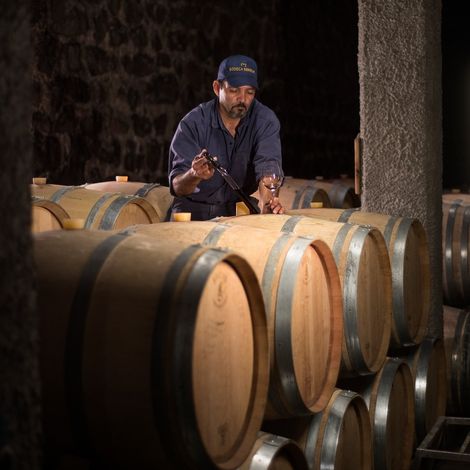 Benegas_Wine_Process3