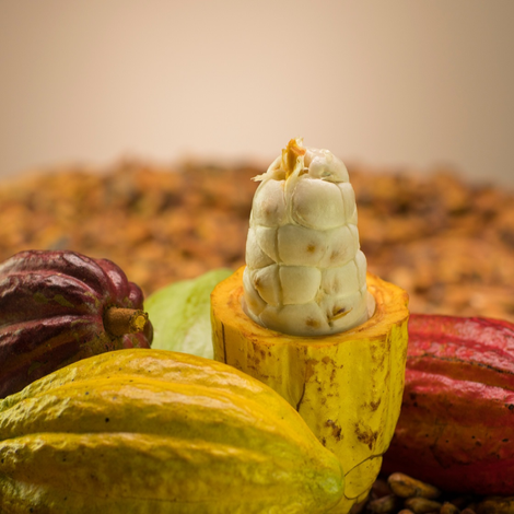 Cream to Cream 1, C.A.