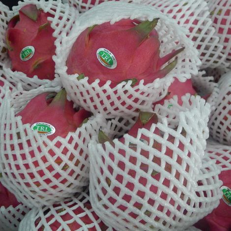 Fresh Red Dragon Fruit
