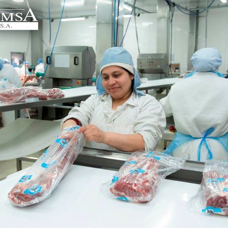 FRIMSA S.A. - Facility