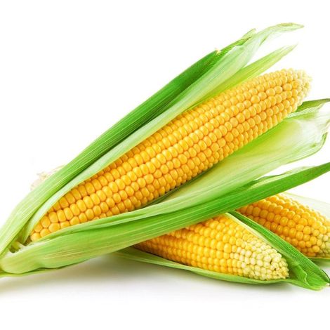 Corn