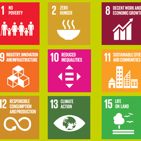 ONU Shares sustainability values