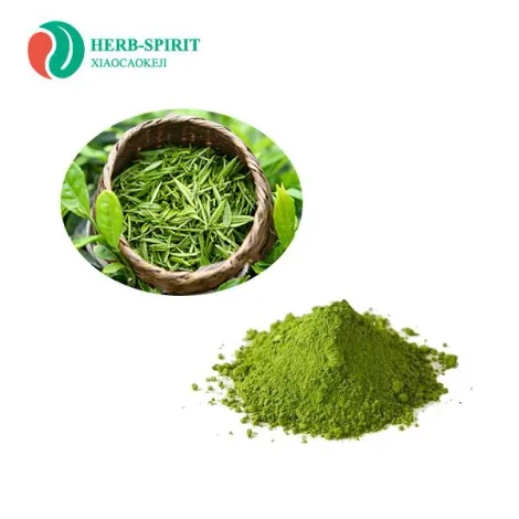 organic-matcha-green-tea-powder23358890230.webp