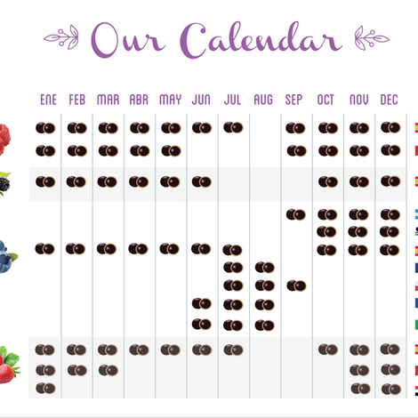 Berries Calendar / Spain & ROW