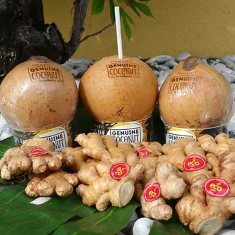 Ecoripe Tropicals, Inc.