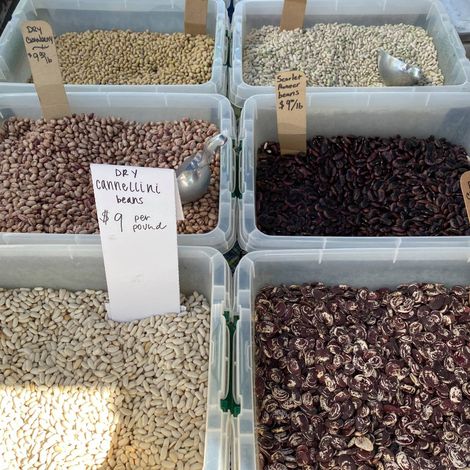 D.W. Sturt & Company