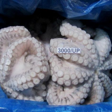 Octopus Vulgaris_Flower Type_IQF_3000-UpGr