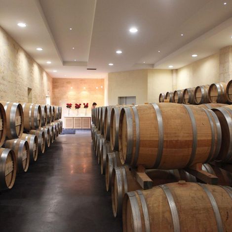 Château Graves du Bert - Cave