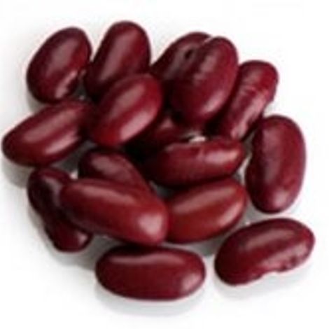 DarkRedKidneyBeans-medium.jpg