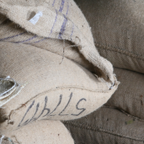 Screenshot 2023-02-20 at 8.51.16 AM.png