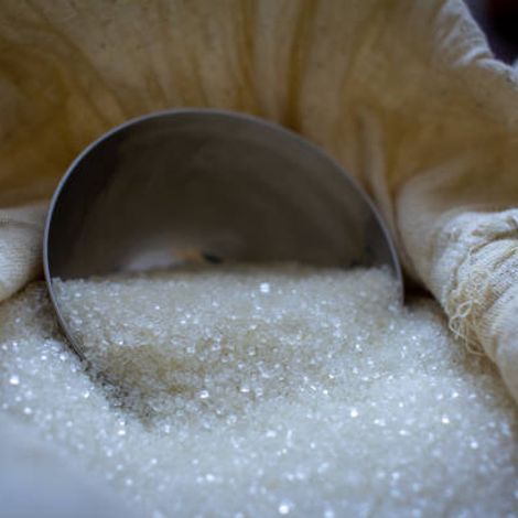 Raw Cane Sugar