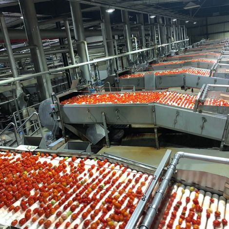 Los Gatos Tomato Products, LLC
