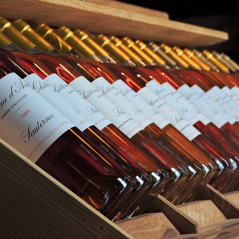 Château d'Arche - Wines